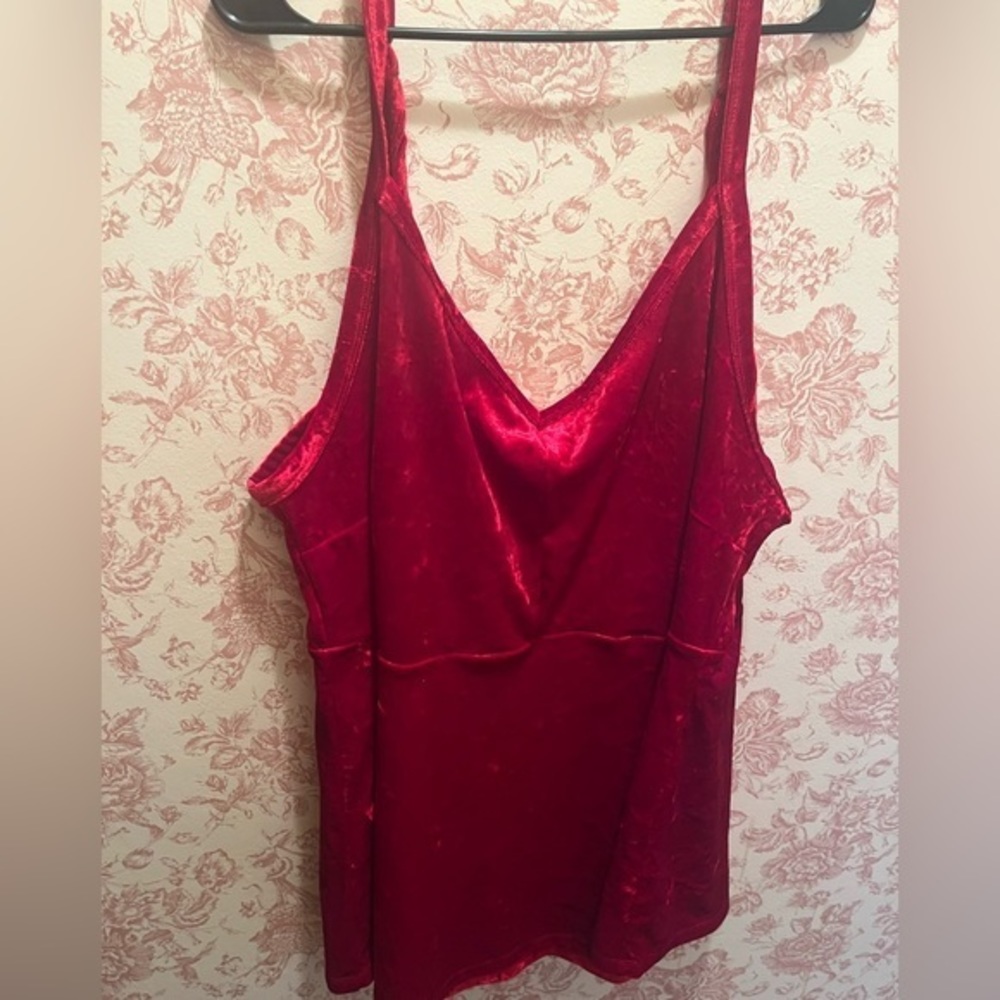 Torrid Red Velvet Tank Top Size 4